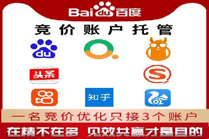 专业SEM托管服务成功案例分享